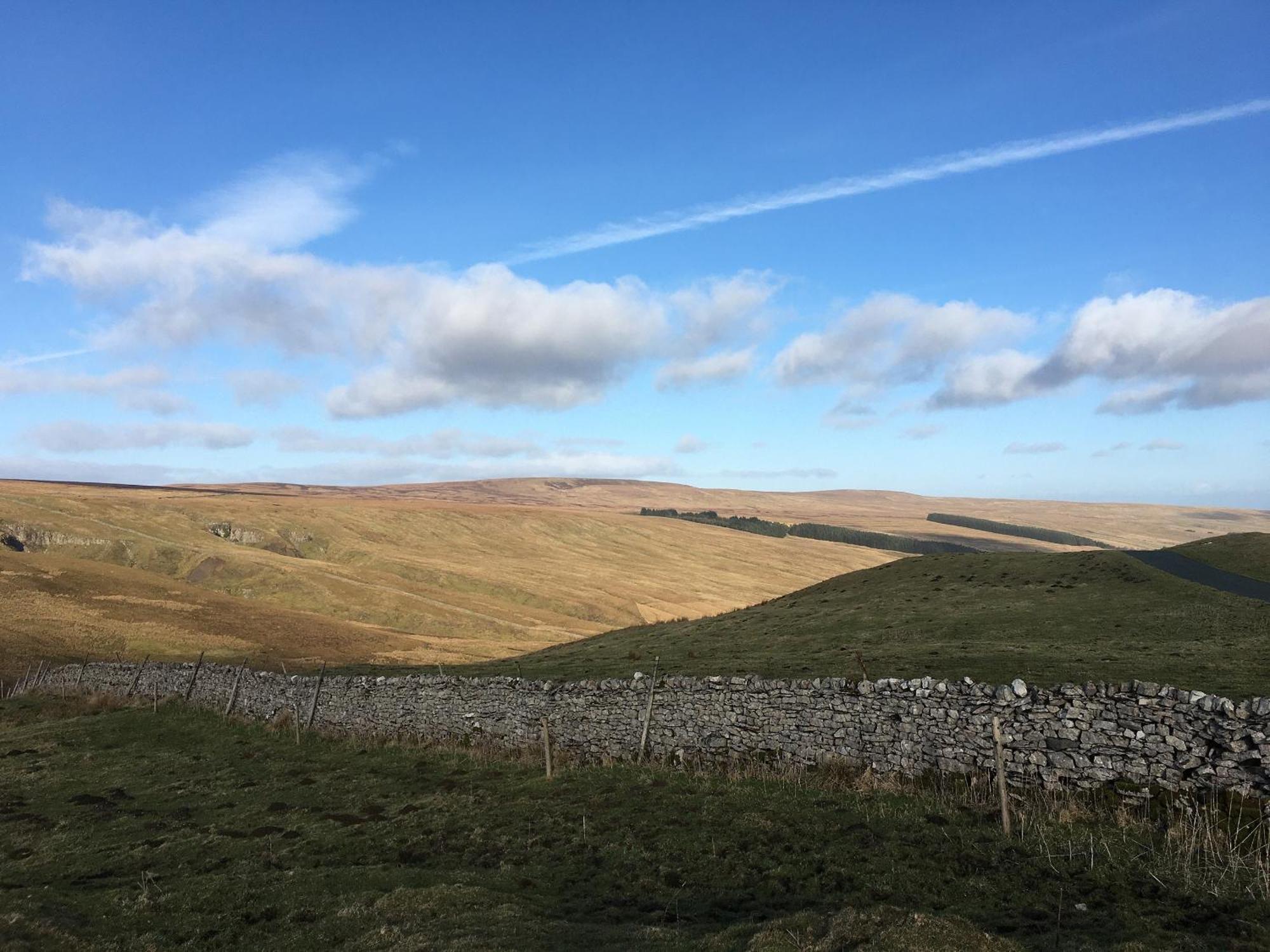 Foal Barn Cottages - The Smithy - Spennithorne Middleham Ngoại thất bức ảnh